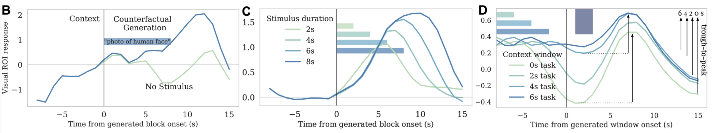 Counterfactual FMRI generation results
